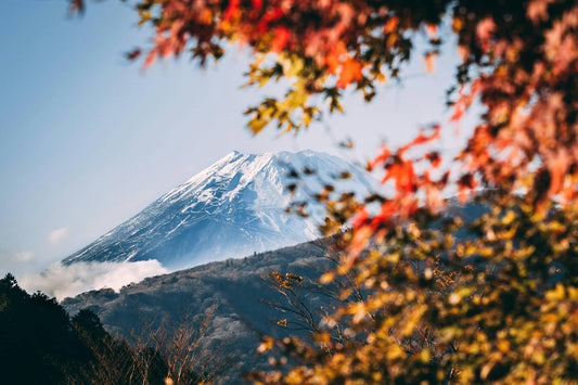Scenic view of Mount Fuji framed by autumn leaves representing the inspiration for best handcrafted Japanese home decor