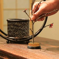 Handcrafted Japanese Ikebana Basket Vase | Sogetsu-Style Woven Bamboo Flower Vessel | Zen Tea Ceremony Décor - Rin Essense 