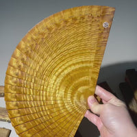 “Thunder Vein” – Nanmu Burl Folding Fan (One of a Kind, 20 cm) RIN ESSENCE Wooden Art Collection