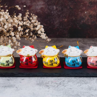 Rin Essense colorful maneki neko cat figurines set of five on slate with dried flowers daruma tumbling doll ornament