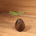 Rin Essense wood vase with natural textured finish holding green leaves on wooden surface